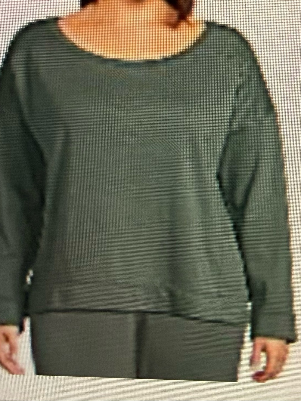 NWT Eileen Fisher Organic Terry Ballet Neck Long Sleeve Box Top 2x  Evergreen